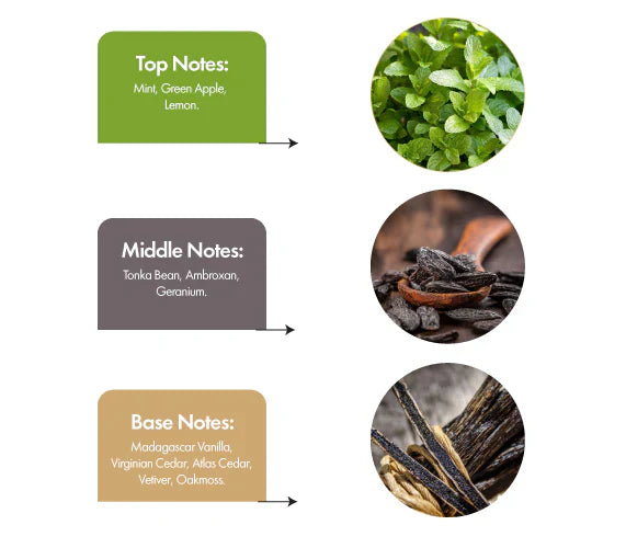 Falling Away Inspired by Versace Eros