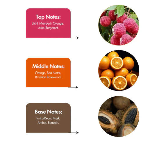 Midnight Magic Inspired by Dunhill Desire