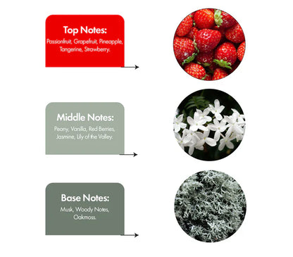 Timeless Beauty Inspired by VS Bombshell