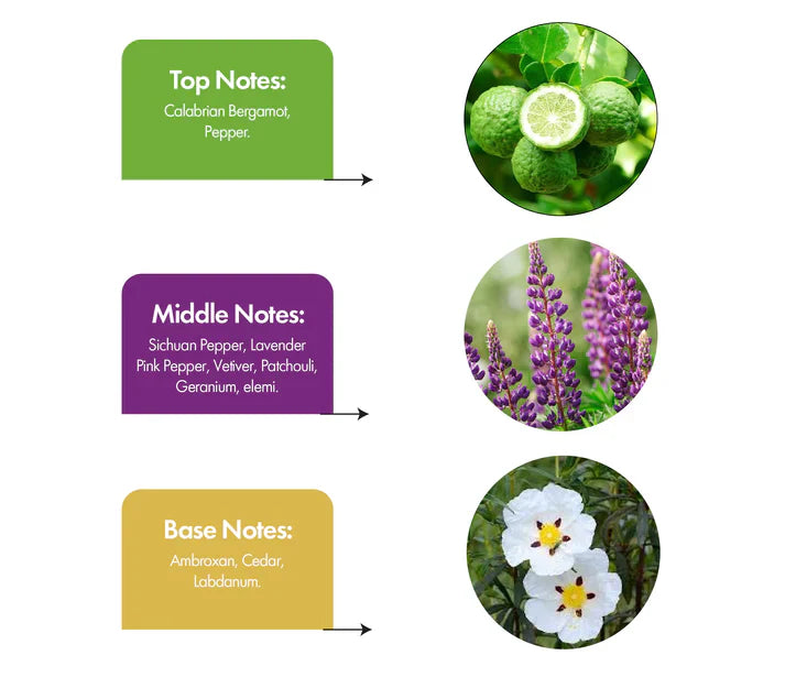 Urban Rebel Inspired by Sauvage EDT